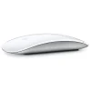 Apple Datamus|Magic Mouse