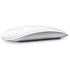 Apple Datamus|Magic Mouse