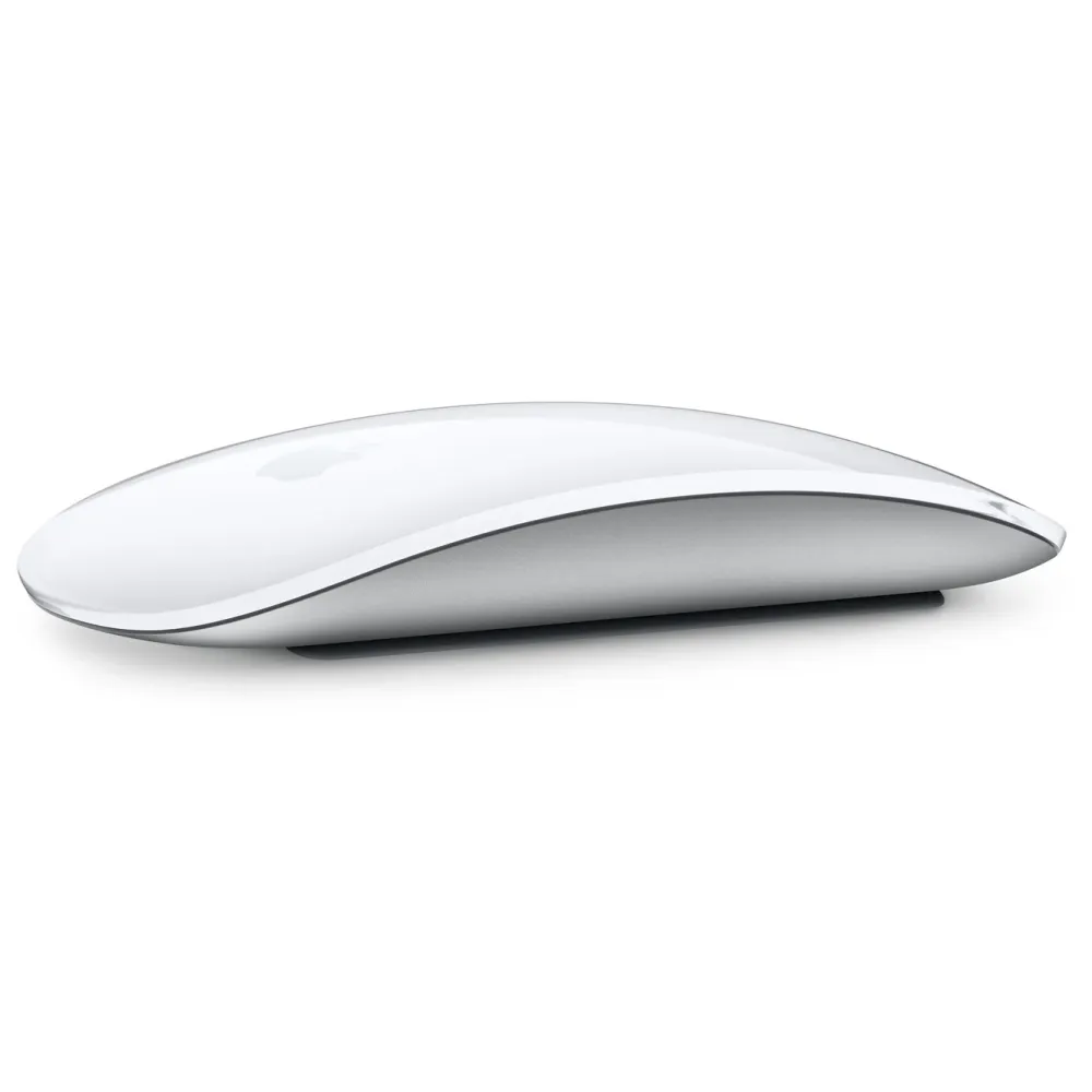 Apple Datamus|Magic Mouse