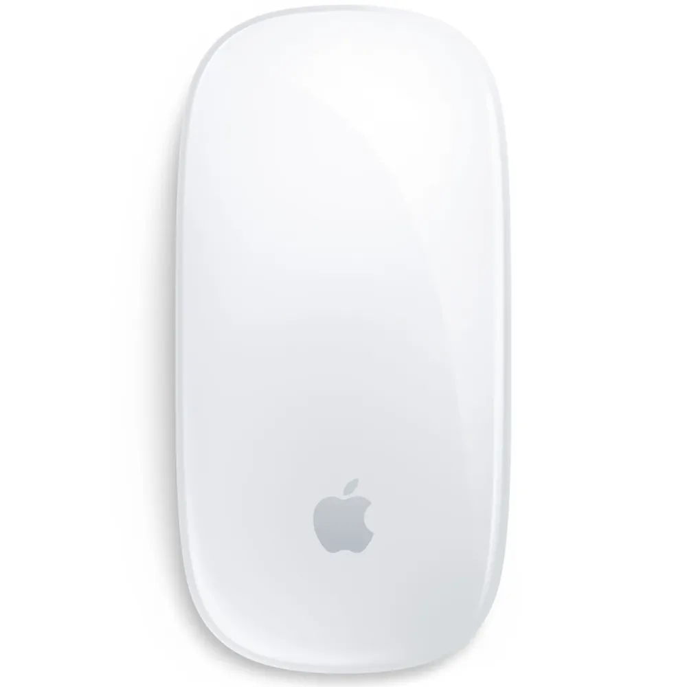 Apple Datamus|Magic Mouse