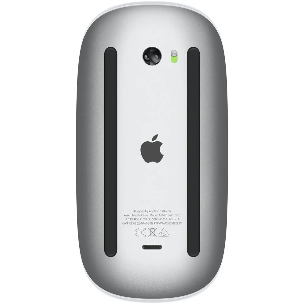 Apple Datamus|Magic Mouse