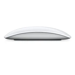 Apple Datamus|Magic Mouse