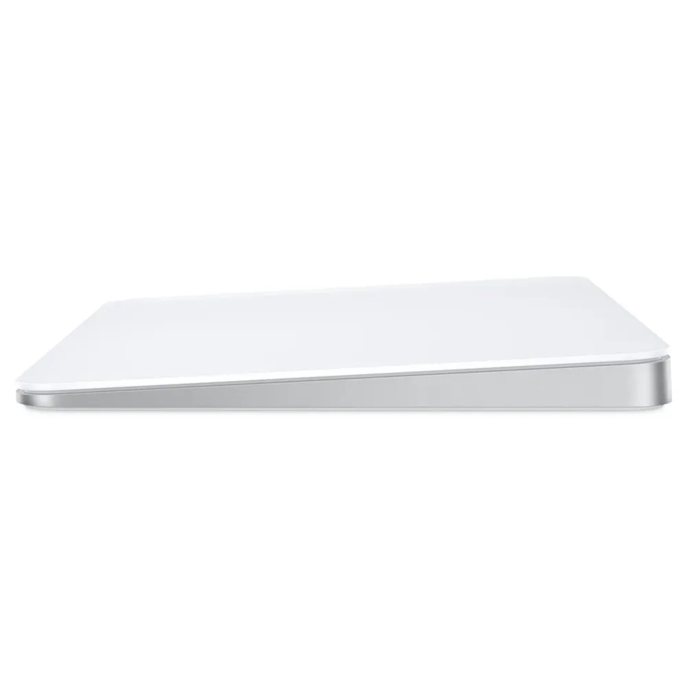 Apple Datamus|Magic Trackpad