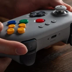 8Bitdo Skjermbeskytter Og Deksel|Gamingskjermer|64 Bluetooth Controller Classic Grey