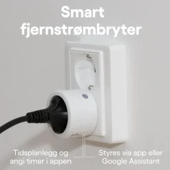 Cleverio Fjernstrømbryter|Smart fjernstrømbryter 2300 W