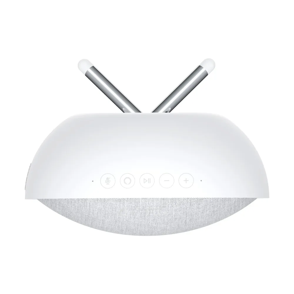 Defunc Høyttaler|Stemmeassistenter|Home Small