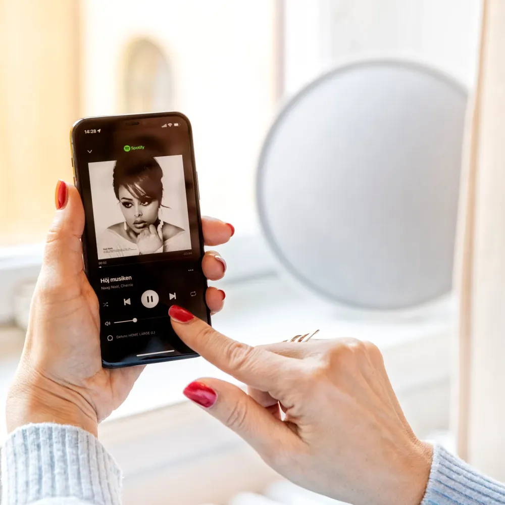 Defunc Høyttaler|Stemmeassistenter|Home Small