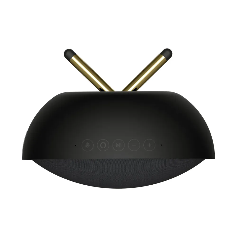 Defunc Høyttaler|Stemmeassistenter|Home Small