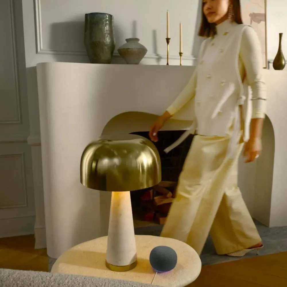 Google Stemmeassistenter|Høyttaler|Home Speaker smart høyttaler med Gemini