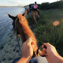 Gopro Foto Og Video|Head Strap 2.0 Hovedfeste