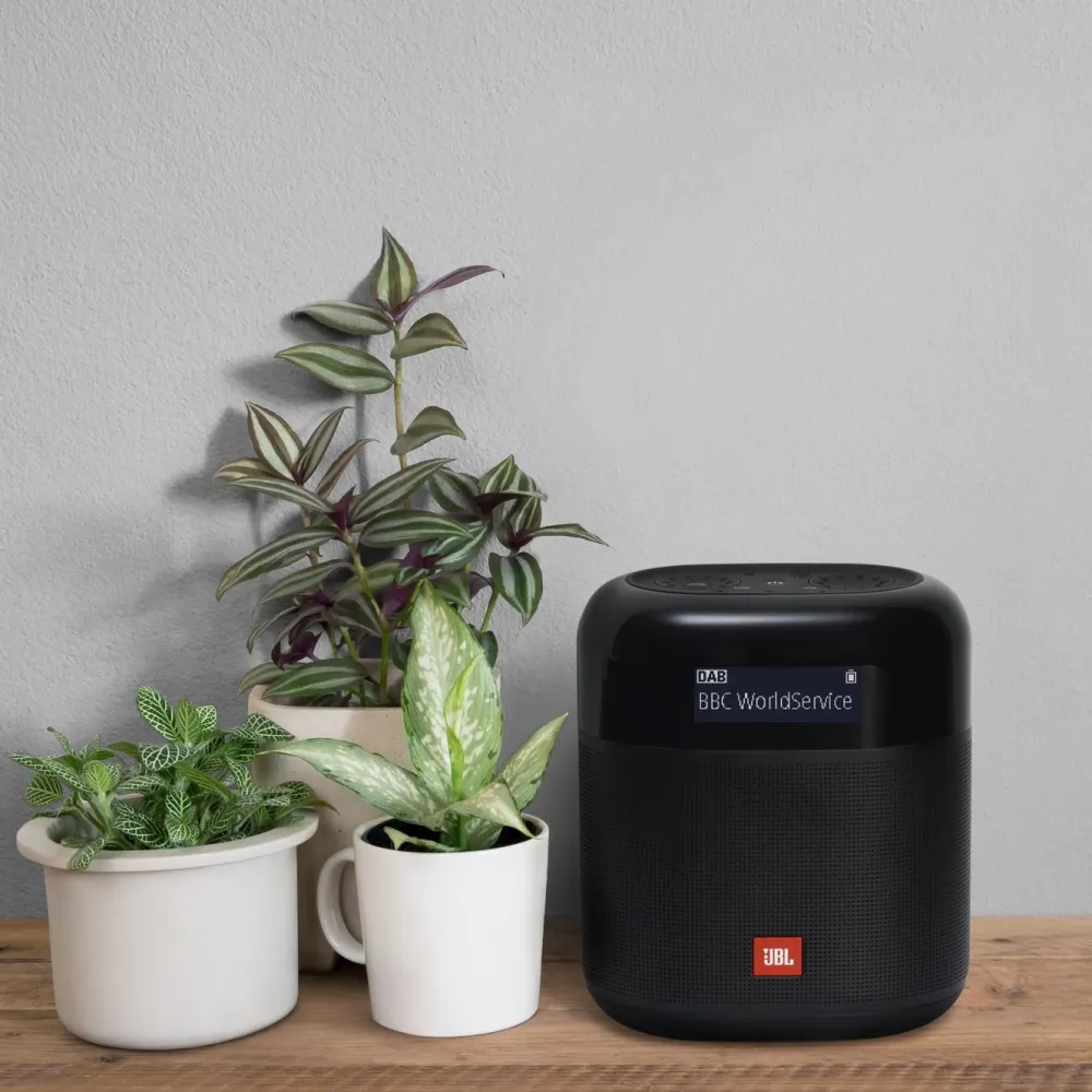 JBL Høyttaler|Musikkspiller Og Radio|Tuner XL Radio med Dab+ og Bluetooth