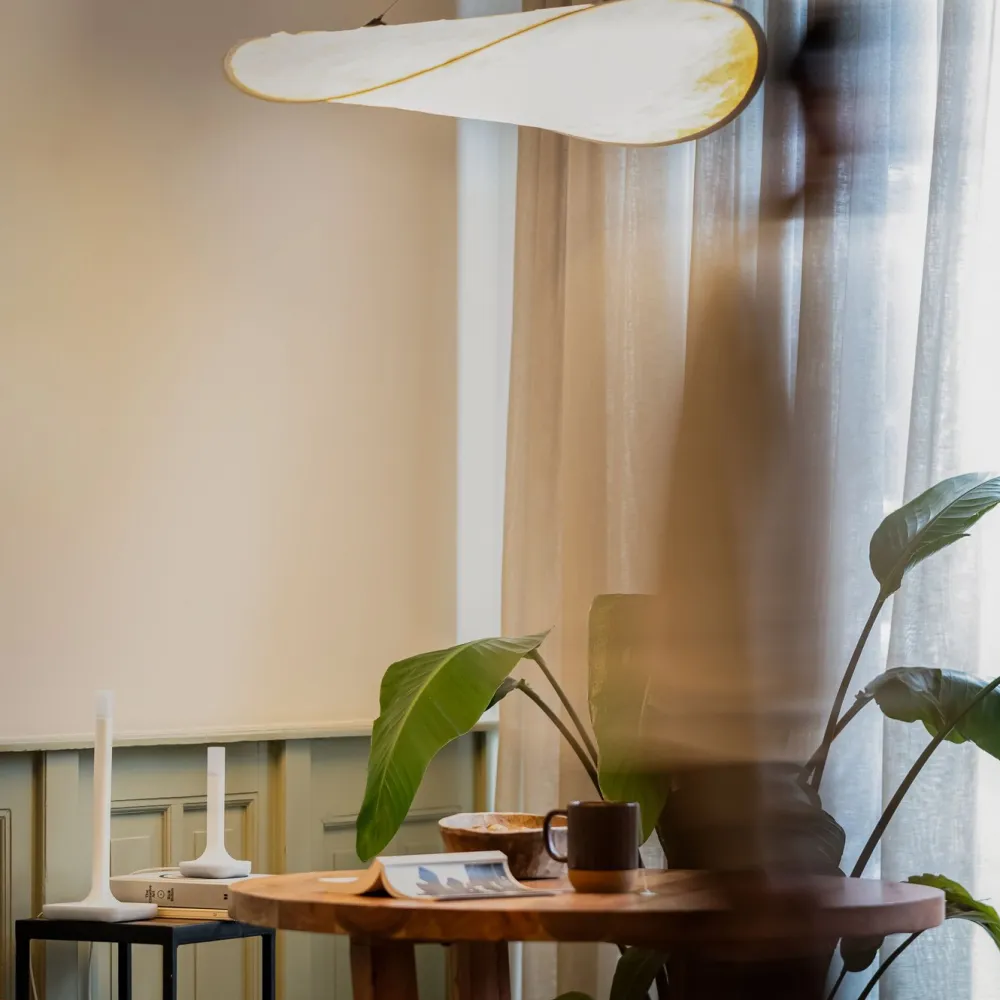 Nabucasa Smarte Alarmer|Smarte Sensorer|Home Assistant Connect ZBT-2