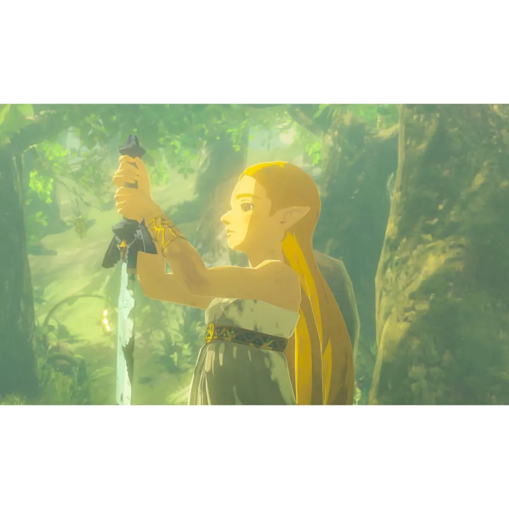 Nintendo Nintendo Switch-Spil|The Legend of Zelda: Breath of the Wild - Switch 2 Edition