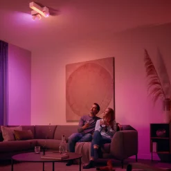 Philips Hue Fjernstrømbryter|Smarte Alarmer|Dim Switch v2 Fjernkontroll