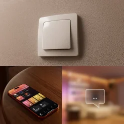 Philips Hue Philips Hue|Philips Hue|Wired Wall Switch Module 2-pakning