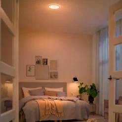 Philips Taklamper|Mauve Sceneswitch LED-plafond 1500 lm