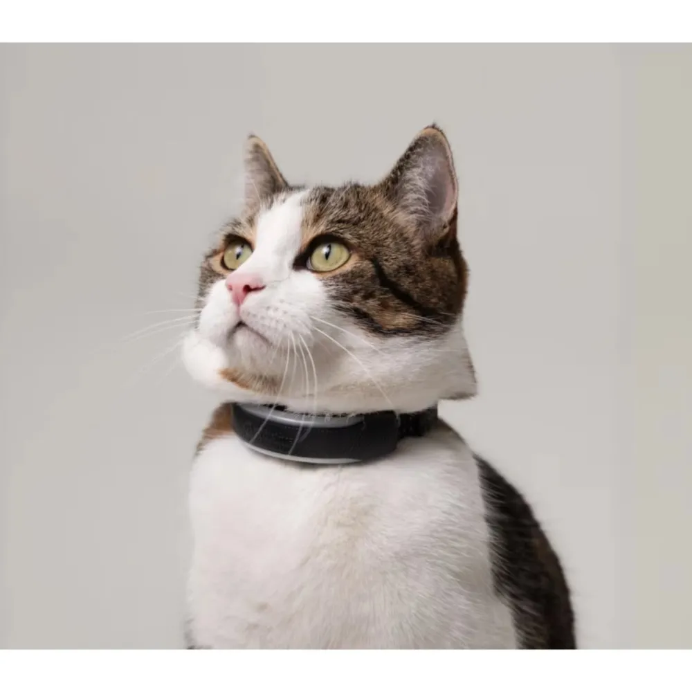 Tractive Fritid|Gps|CAT 6 Mini GPS-halsbånd for katt med helsesporing