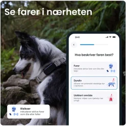 Tractive Fritid|Droner|DOG 6 – GPS-hundehalsbånd og helseovervåking