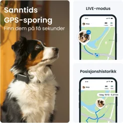 Tractive Fritid|Droner|DOG 6 – GPS-hundehalsbånd og helseovervåking