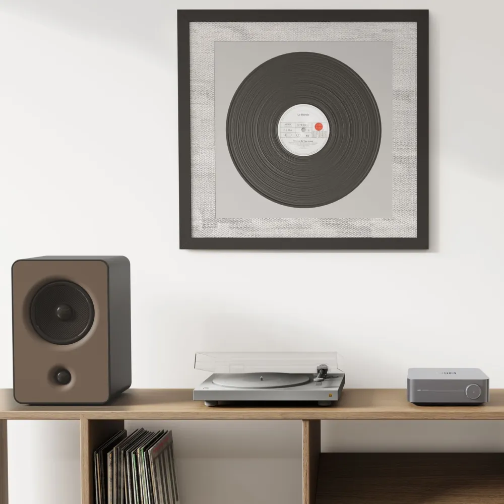 WiiM Musikkspiller Og Radio|Høyttaler|Amp Stereoforsterker med streaming
