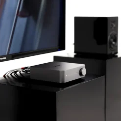 WiiM Musikkspiller Og Radio|Høyttaler|Amp Stereoforsterker med streaming