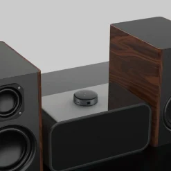 WiiM Musikkspiller Og Radio|Mini lydstreamer
