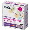 WiZ Smart Belysning|Utendørs Belysning|Smart LED-lyslenke 20 m